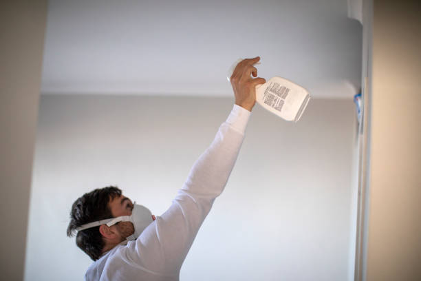 Best Mold Removal Near Me  in Reston, VA